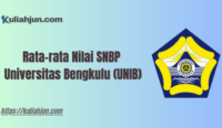 Universitas Bengkulu (UNIB)